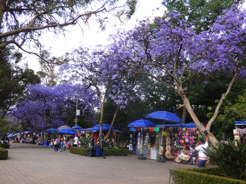 Mexique du 03/04/2019 au 14/04/2019