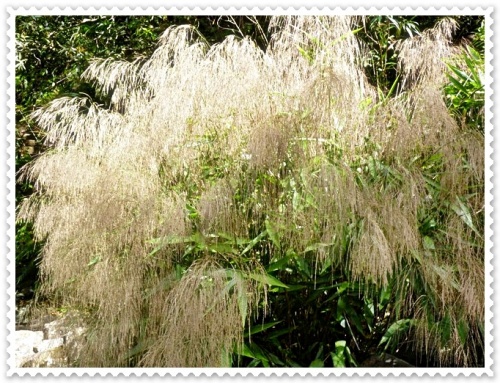 Bassin la Paix (2/3) -