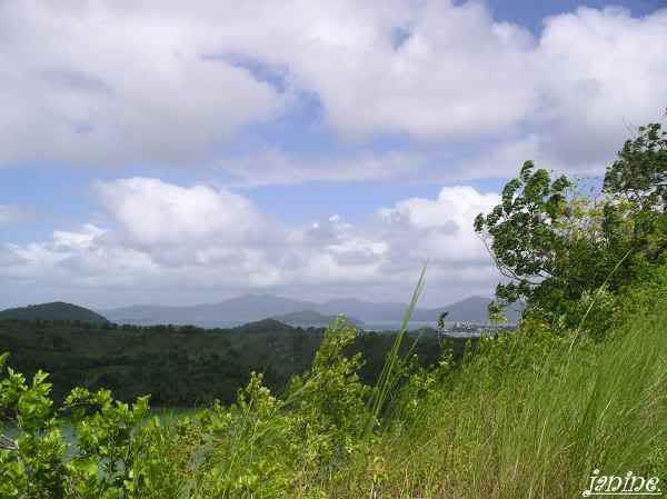 http://i38.tinypic.com/28wngoj.jpg
