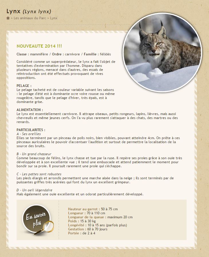 Lynx