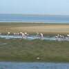 Walvis Bay