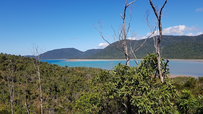 27 Juillet 2019 - Airlie Beach - Rando Swamp Bay