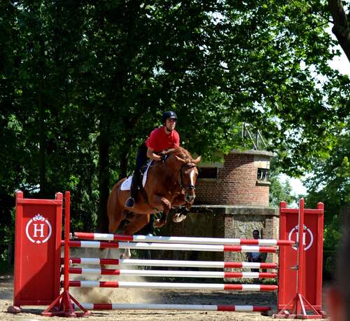 LE HARAS DU PIN - ORNE