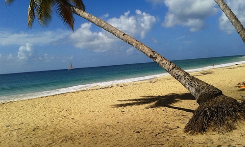 Les Salines Martinique