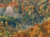 colorful autumn forest, great smoky national park, tennessee