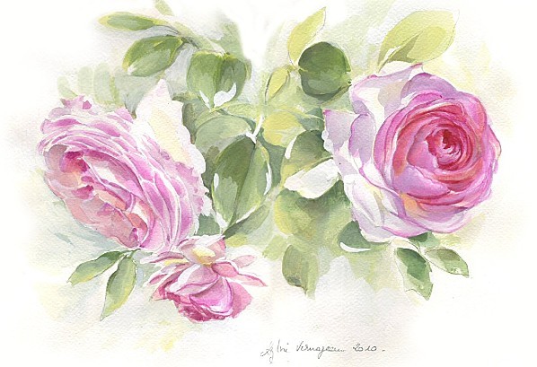 Roses Pierre de Ronsard 1200x926