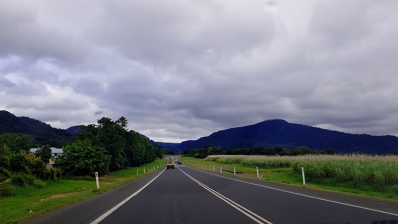 23 Juillet 2019 - Kuranda et les Koalas