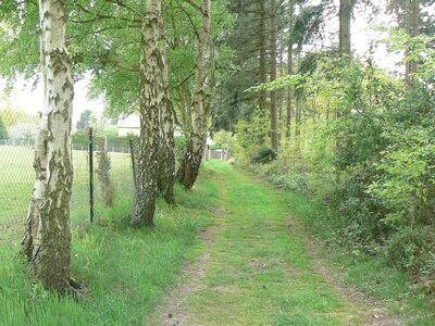 Le chemin du Nid de Chien