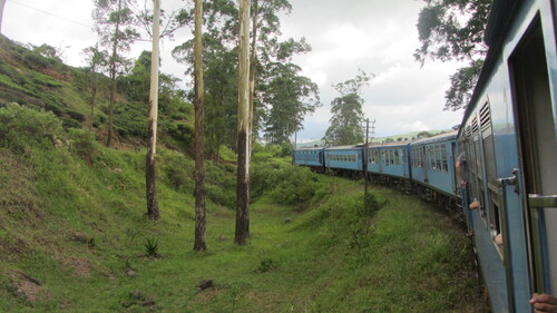 Voyage au Sri Lanka. Kandy/Ella en train.