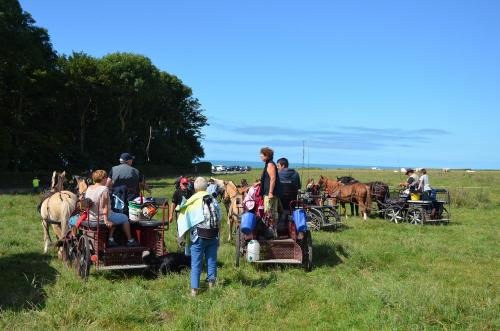 15 Juillet - Témoignage - La seconde 1/2 étape - Quiberville => Veules