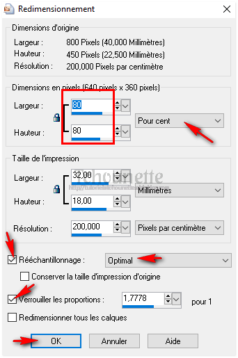 Masuimi Geisha Forever NV