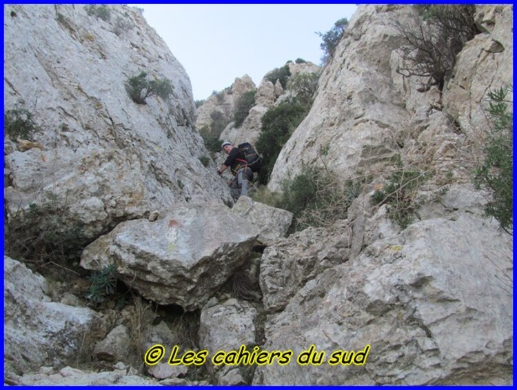 Le renard des calanques suite et ...fin !