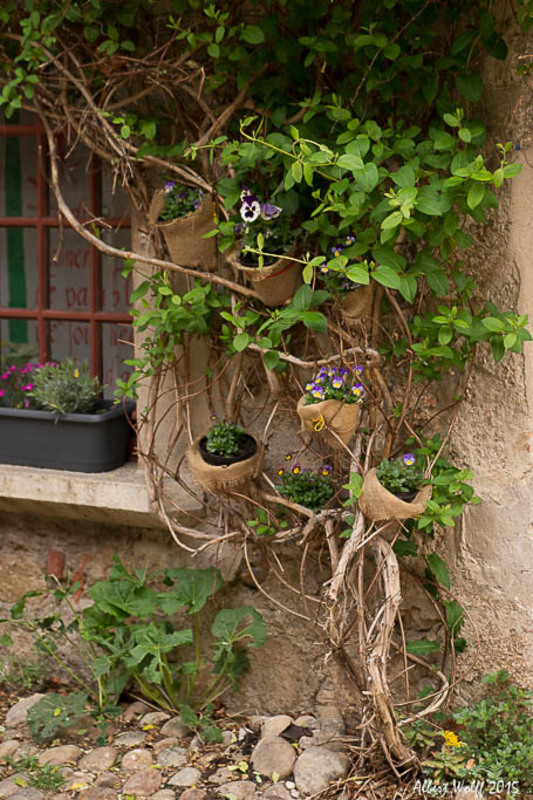 Pérouges  : au fil des  pavés  - 2