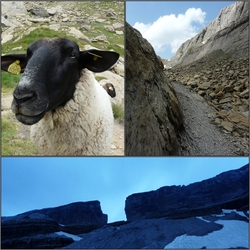 A la découverte des Hautes Pyrénées (2011)