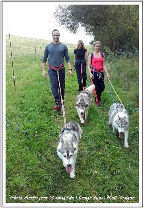 Cani-rando de Moulayrès (25 octobre 2015)