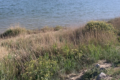 En bord de mer : vivent les vacances !