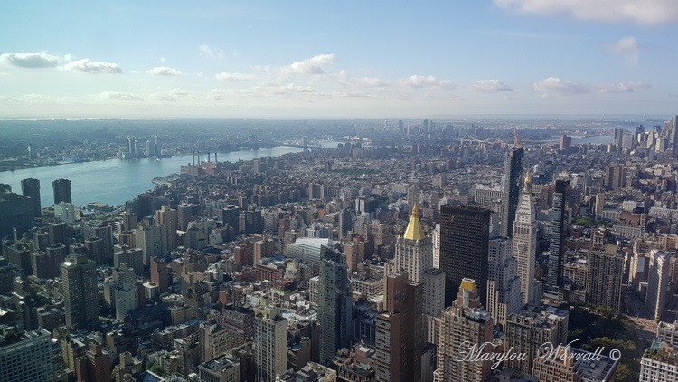 New York : Empire State Building