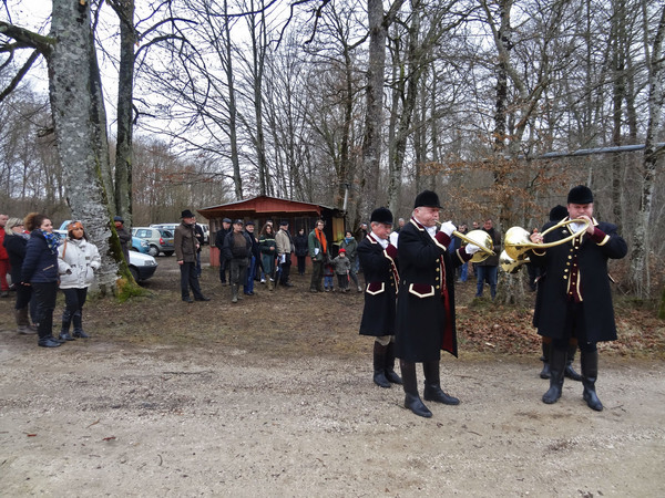 "Auprès de mon arbre, je vivrai heureux", c'est dorénavant la devise des Conseillers Municipaux de Maisey le Duc !