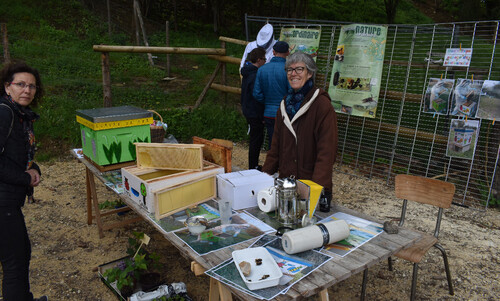 Le coin des abeilles