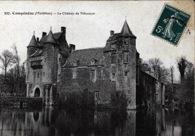 cartes-postales-photos-Le-Chateau-de-Trecesson.jpg