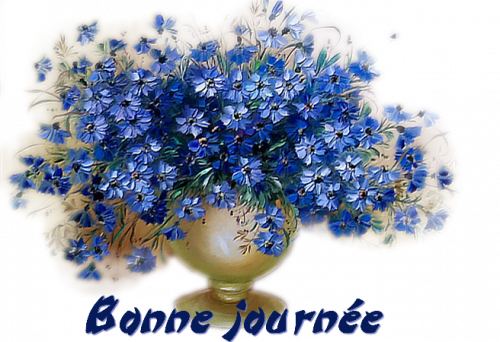 Bonjour a tous