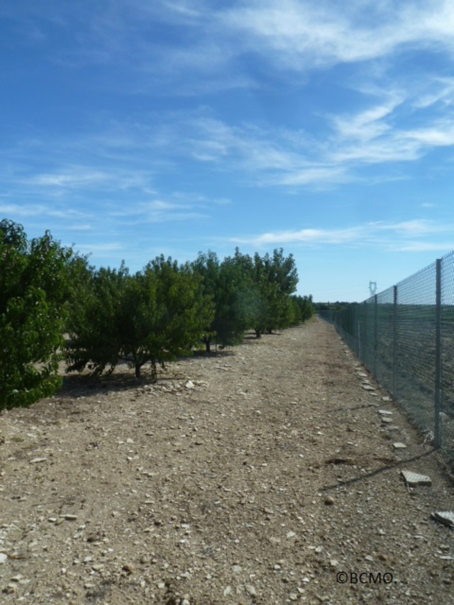   à la campagne  à Péret ,