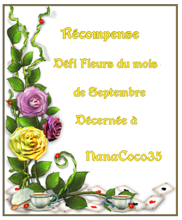 Récompenses de Martine28