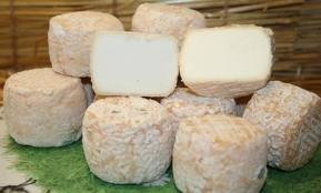 crottins de chèvre crottins de chèvre