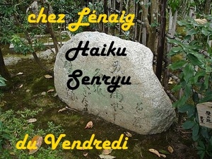 Coucou du vendredi, haikü, senryû, melting-pot...