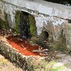 MONTRICOUX Hameau de ST Laurent Le lavoir photo 2017 04 mcmg82