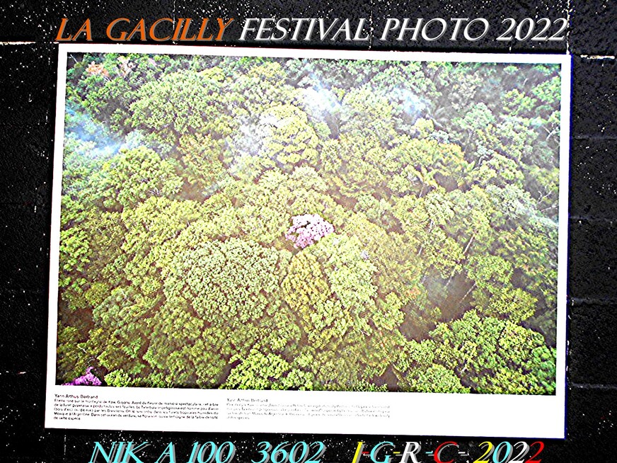 FESTIVAL PHOTO 2022 LA GACILLY 19 ième D 17-08-2022 1/5  A