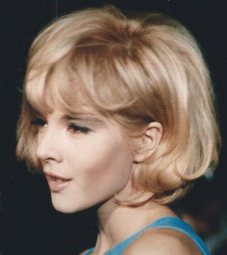 Sylvie Vartan: 