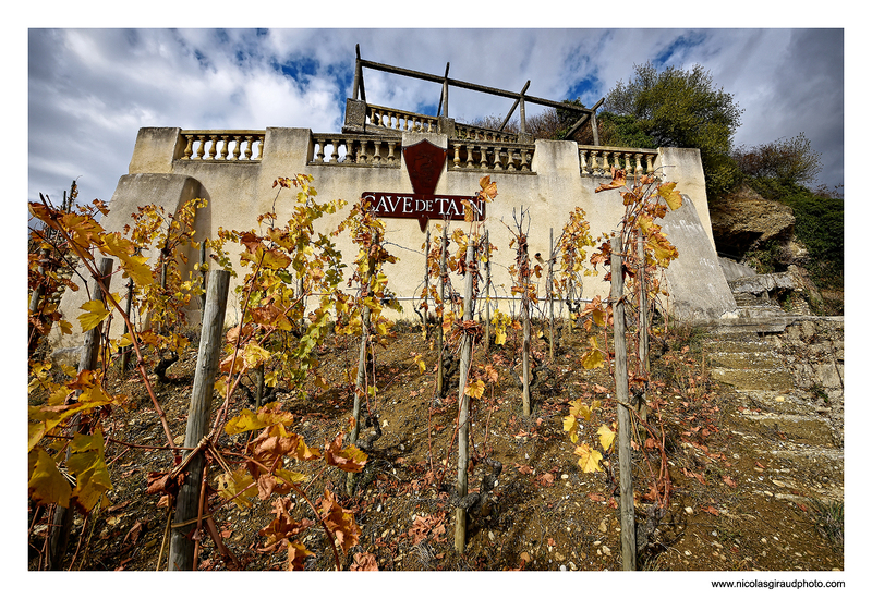 Automne des vignobles de Tain aux Roches qui dansent