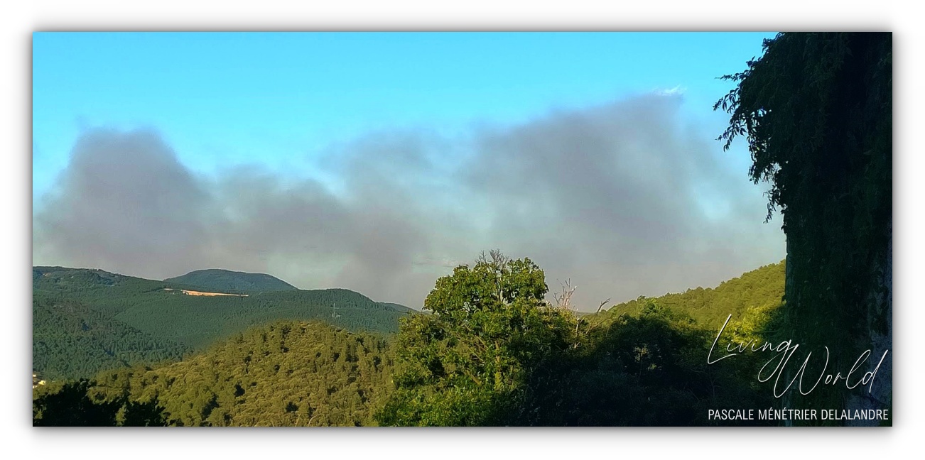 07 07 2022 - 17h30 - Vu de mes fenêtres le « Méga feu » dans le Gard