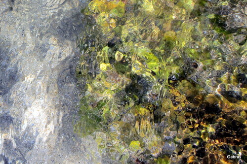 Les rochers du bord de mer