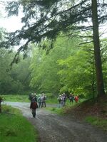 La randonnée du 20 mai à Montchauvet