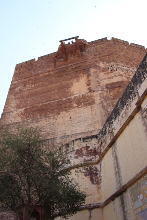la forteresse de Jodhpur (1)