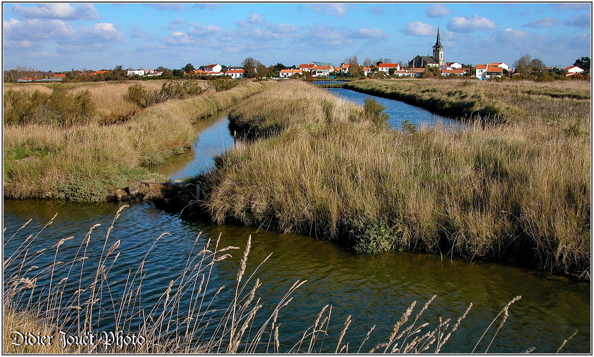 (85) Vendée - L'île d'Olonne (2)