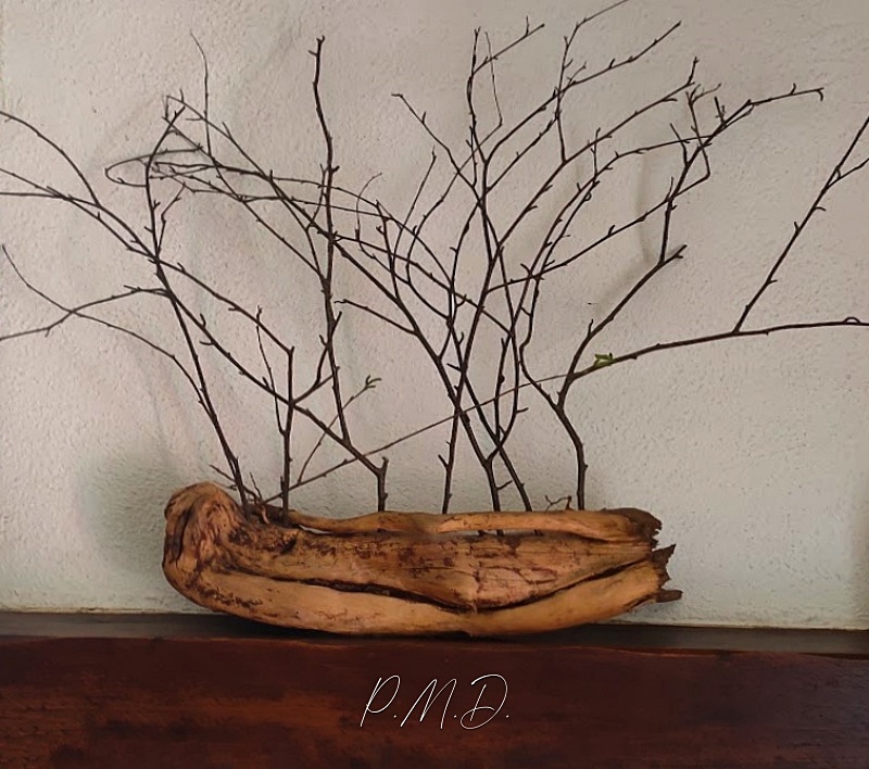 2023 - Déco de jardin 
