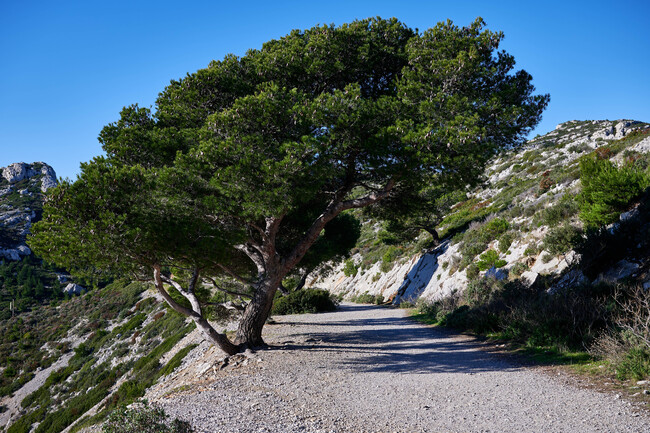 Pas Supérieur de la Melette-Cirque des Walkyries