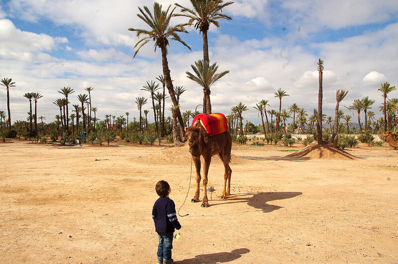 Marrakech