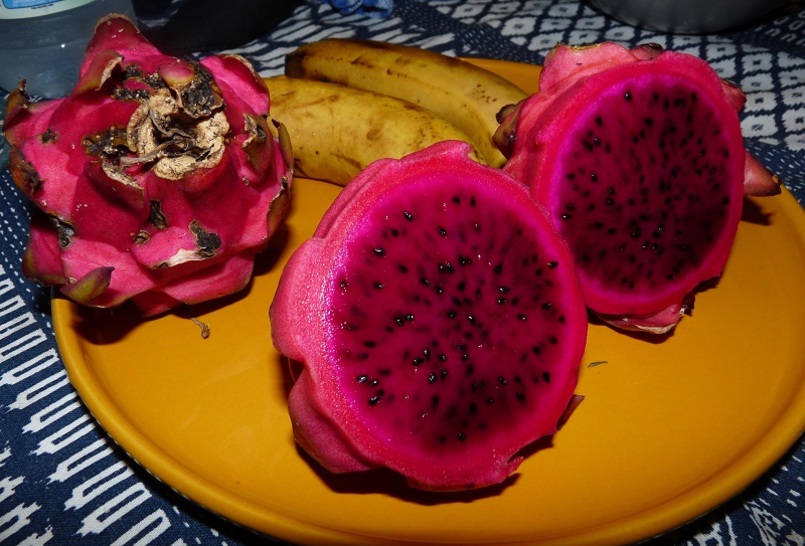 Pitaya