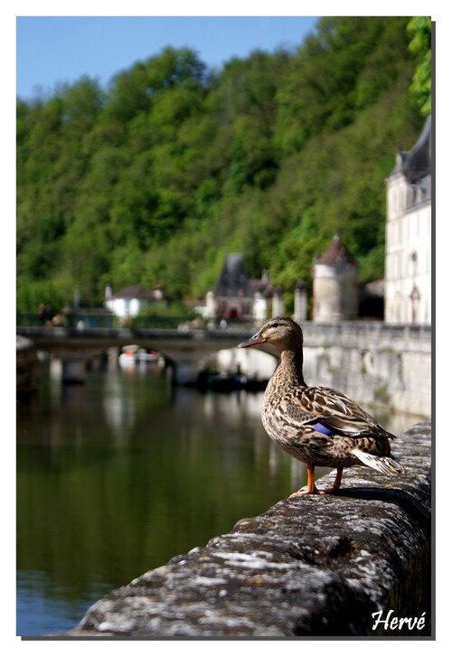 Brantôme.