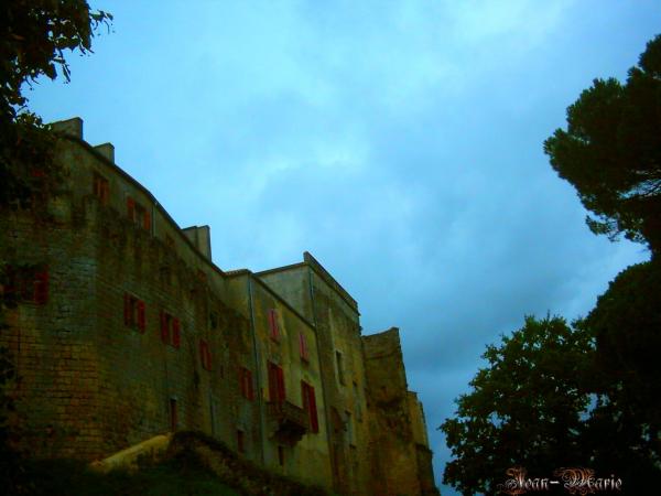 le château des Benauges (arbis) gironde