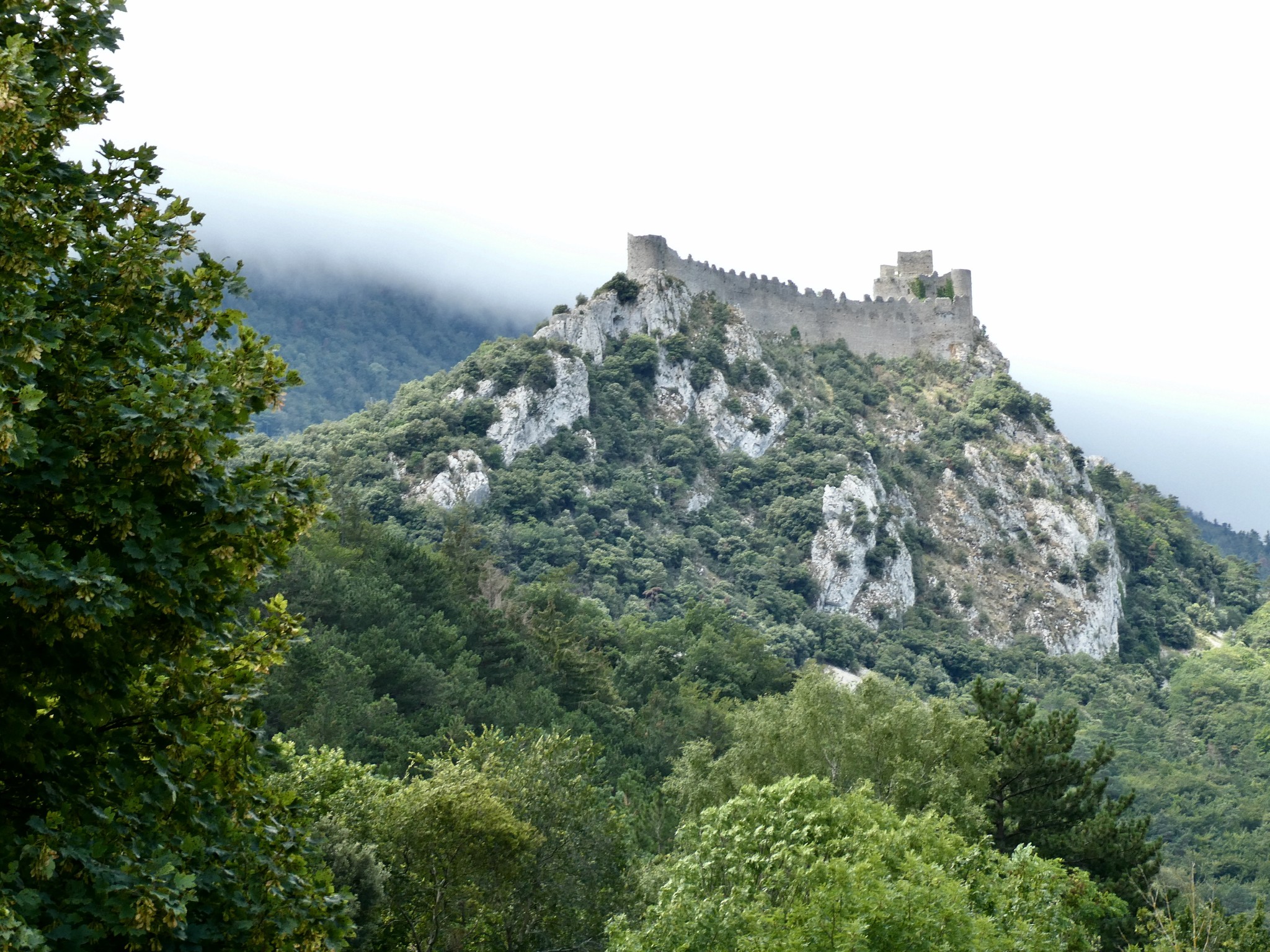 Peut être une image de brouillard