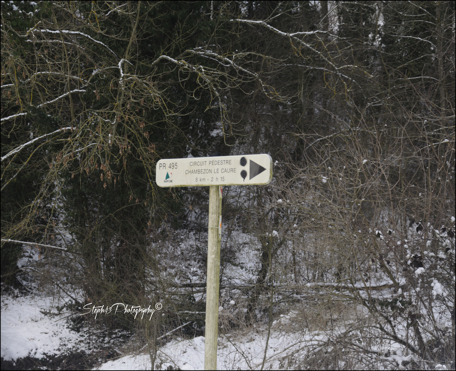 Chambezon / Vallée de l'Alagnon 