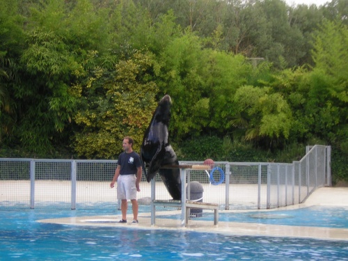 PARC ZOOLOGIQUE DE BEAUVAL EN SOLOGNE