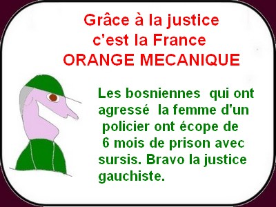 Restons ZEN avec les conneries françaises ?