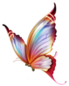 papillons png