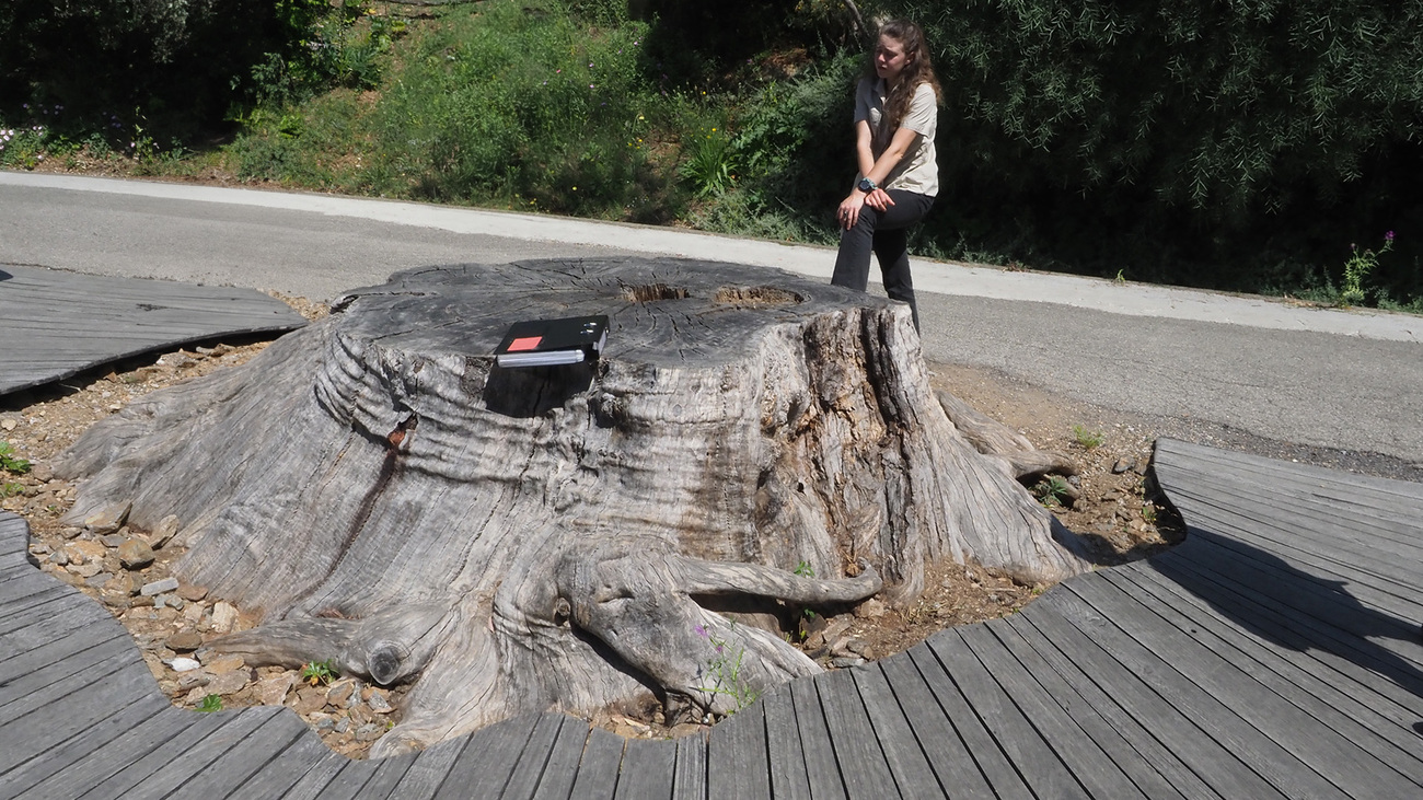 6/7 promenade dans le jardin du Rayol